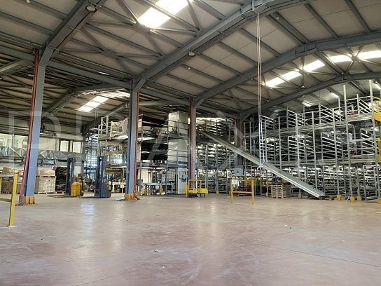 Storage space / building-for lease-Markopoulos-2878sm