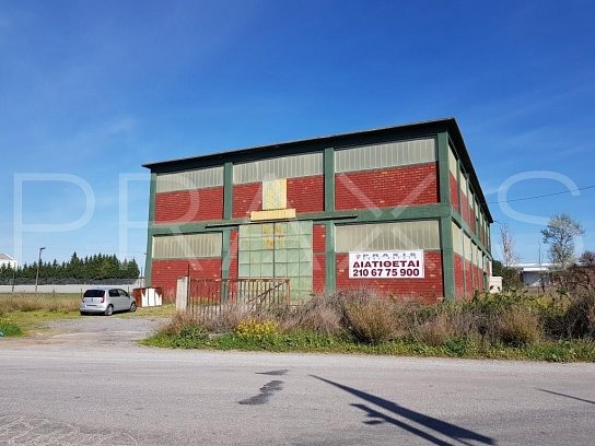 Industrial-for sale-Oinofyta-1984sm