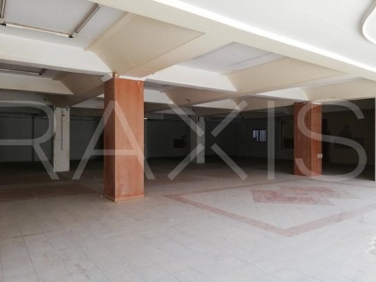 Βιομηχανικά-Πώληση-Περιστέρι-3000tm