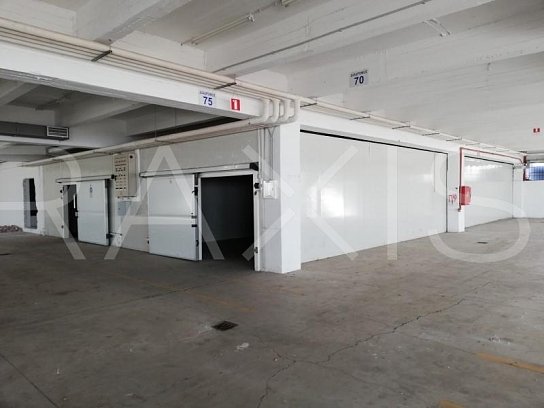 Βιομηχανικά-Πώληση-Οινόφυτα-8115tm