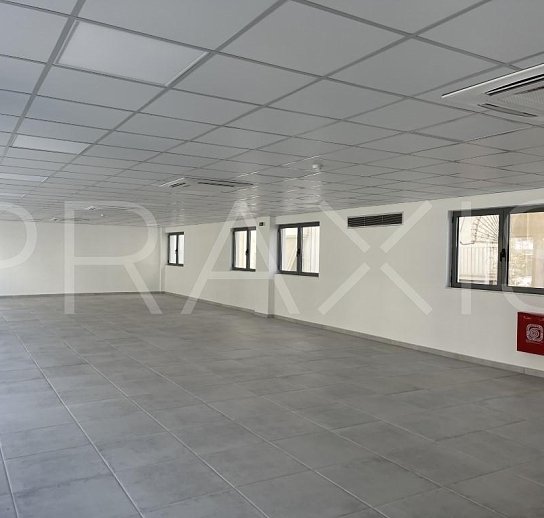 Office space / building-for lease-Neos Kosmos-1184sm