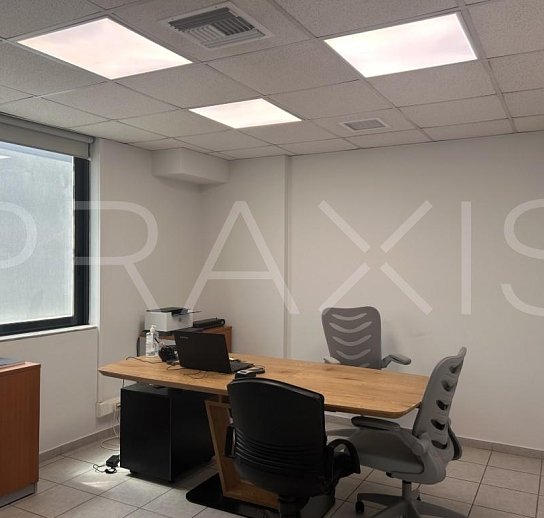 Office space / building-for lease-Paleo Faliro-309sm