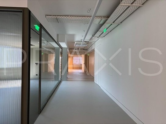 Office-for lease-Syntagma-593sm